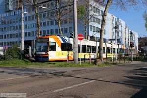Bild: rnv5618_bk2304050016.jpg - anklicken zum Vergrößern