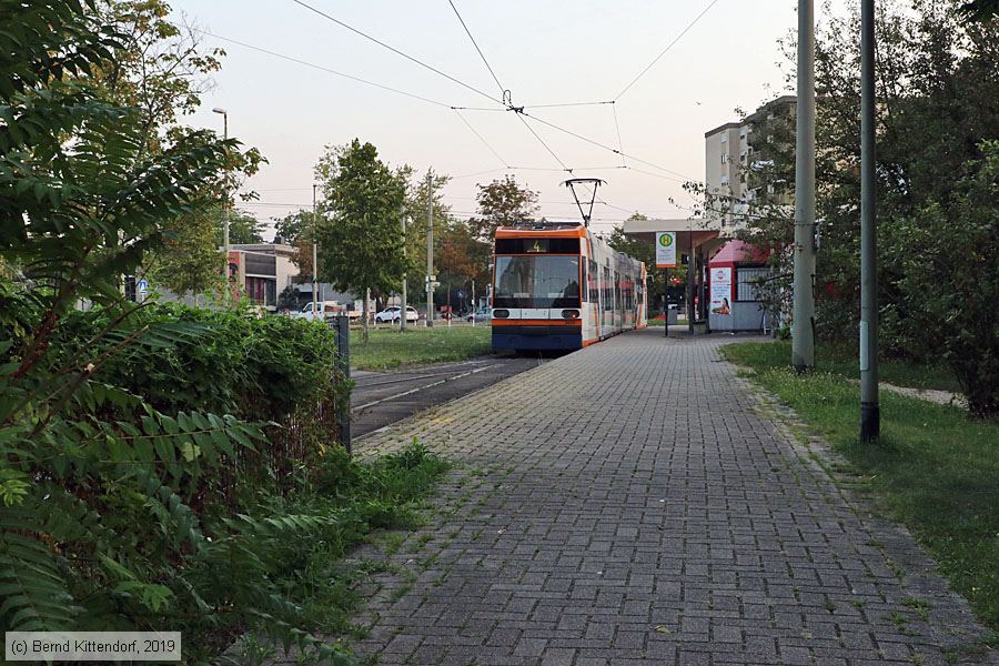 Straßenbahn Mannheim - 5620
/ Bild: rnv5620_bk1908250001.jpg