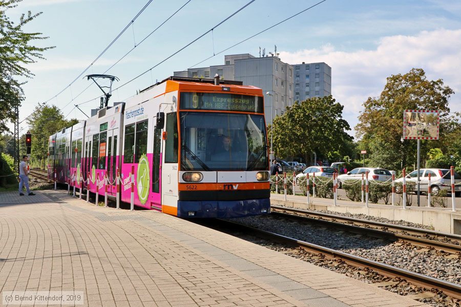Straßenbahn Mannheim - 5622
/ Bild: rnv5622_bk1909110016.jpg