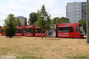 Bild: rnv5623_bk1907080007.jpg - anklicken zum Vergr&ouml;&szlig;ern