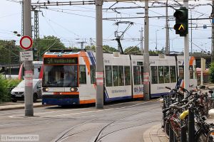 Bild: rnv5624_bk1908060004.jpg - anklicken zum Vergrößern
