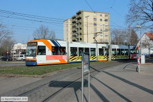 Bild: rnv5625_bk1601220001.jpg - anklicken zum Vergrößern