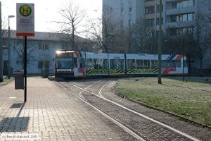 Bild: rnv5625_bk1601220002.jpg - anklicken zum Vergrößern