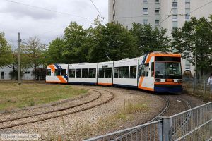 Bild: rnv5628_bk2209100019.jpg - anklicken zum Vergr&ouml;&szlig;ern