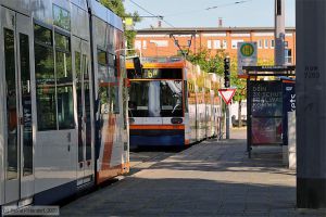 Bild: rnv5630_bk2007230038.jpg - anklicken zum Vergr&ouml;&szlig;ern