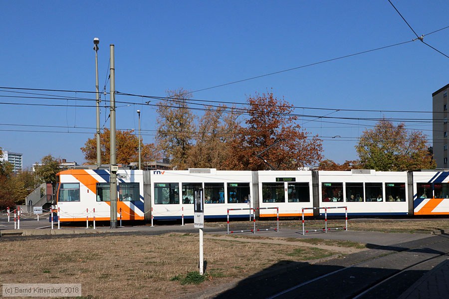 Straßenbahn Mannheim - 5639
/ Bild: rnv5639_bk1810150005.jpg