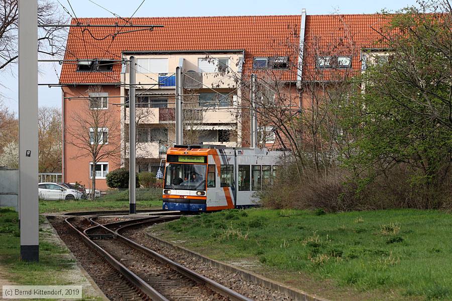 Straßenbahn Mannheim - 5641
/ Bild: rnv5641_bk1903270041.jpg