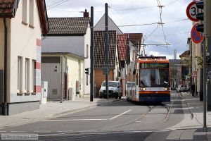 Bild: rnv5645_bk2304130078.jpg - anklicken zum Vergrößern