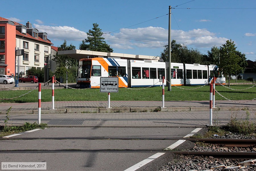 Straßenbahn Mannheim - 5645
/ Bild: rnv5645_bk1708190014.jpg