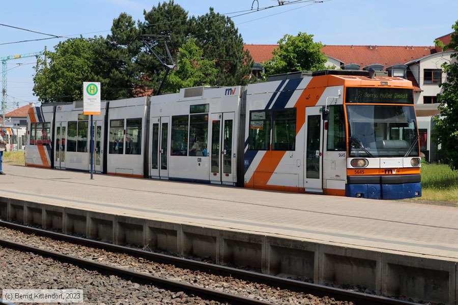 Straßenbahn Mannheim - 5645
/ Bild: rnv5645_bk2306010007.jpg