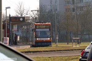 Bild: rnv5646_bk2502080004.jpg - anklicken zum Vergr&ouml;&szlig;ern