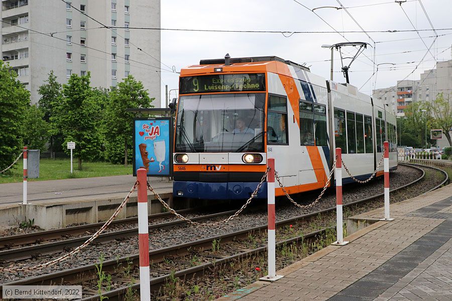 Straßenbahn Mannheim - 5646
/ Bild: rnv5646_bk2205050001.jpg