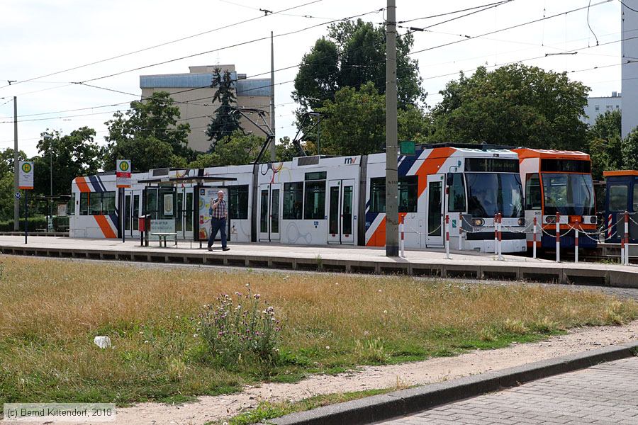 Straßenbahn Mannheim - 5647
/ Bild: rnv5647_bk1807090006.jpg