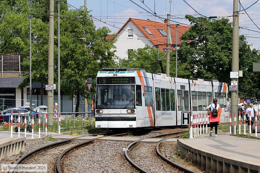 Straßenbahn Mannheim - 5647
/ Bild: rnv5647_bk2106040007.jpg