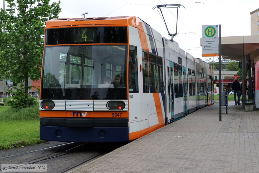 Straßenbahn Mannheim - 5647
/ Bild: rnv5647_bk2405070001.jpg