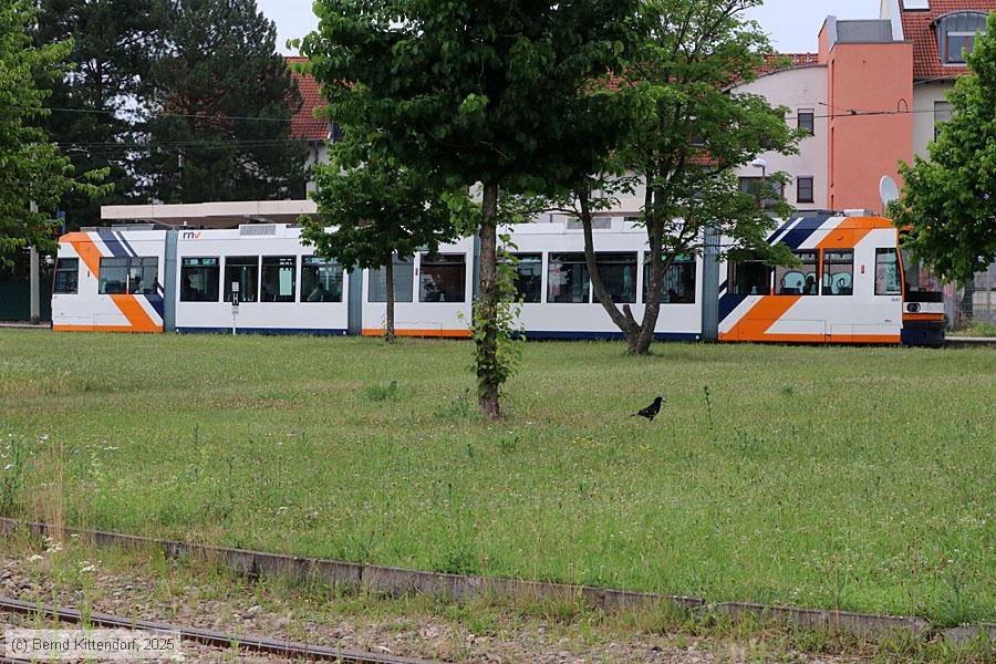 Stra&szlig;enbahn Mannheim - 5647
/ Bild: rnv5647_bk2506020002.jpg