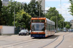 Bild: rnv5650_bk2205210020.jpg - anklicken zum Vergrößern