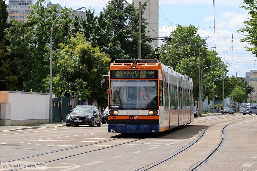 Straßenbahn Mannheim - 5650
/ Bild: rnv5650_bk2205210020.jpg