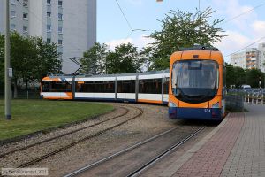 Bild: rnv5714_bk2105070009.jpg - anklicken zum Vergrößern