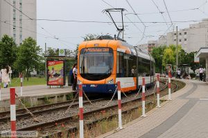 Bild: rnv5715_bk2406200001.jpg - anklicken zum Vergrößern