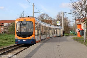 Bild: rnv5710_bk1903270032.jpg - anklicken zum Vergr&ouml;&szlig;ern