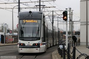 Bild: rnv1816_bk2501170050.jpg - anklicken zum Vergrößern