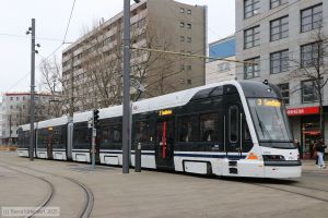 Bild: rnv1856_bk2501170036.jpg - anklicken zum Vergrößern