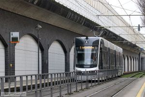 Bild: rnv1862_bk2502110002.jpg - anklicken zum Vergr&ouml;&szlig;ern