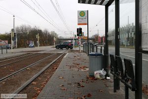 Bild: mannheimanlagen_bk2111130032.jpg - anklicken zum Vergrößern Bild: mannheimanlagen_bk2111130032.jpg - anklicken zum Vergrößern