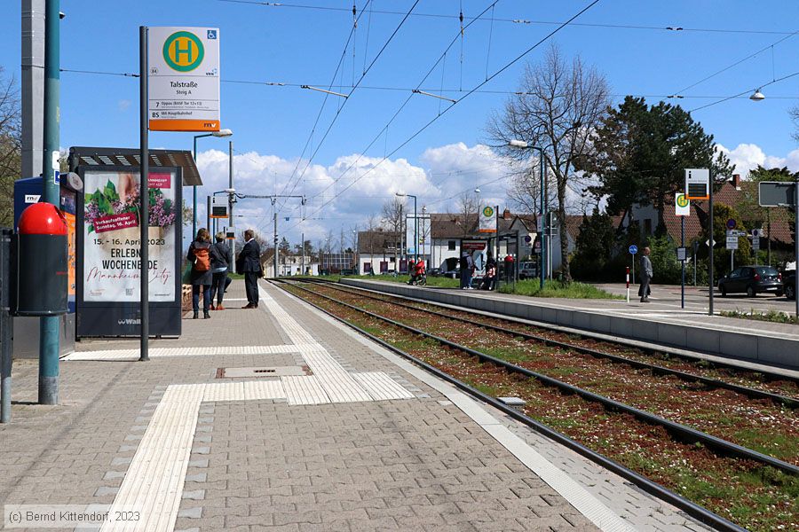 Straßenbahn Mannheim - Anlagen
/ Bild: mannheimanlagen_bk2304140022.jpg
