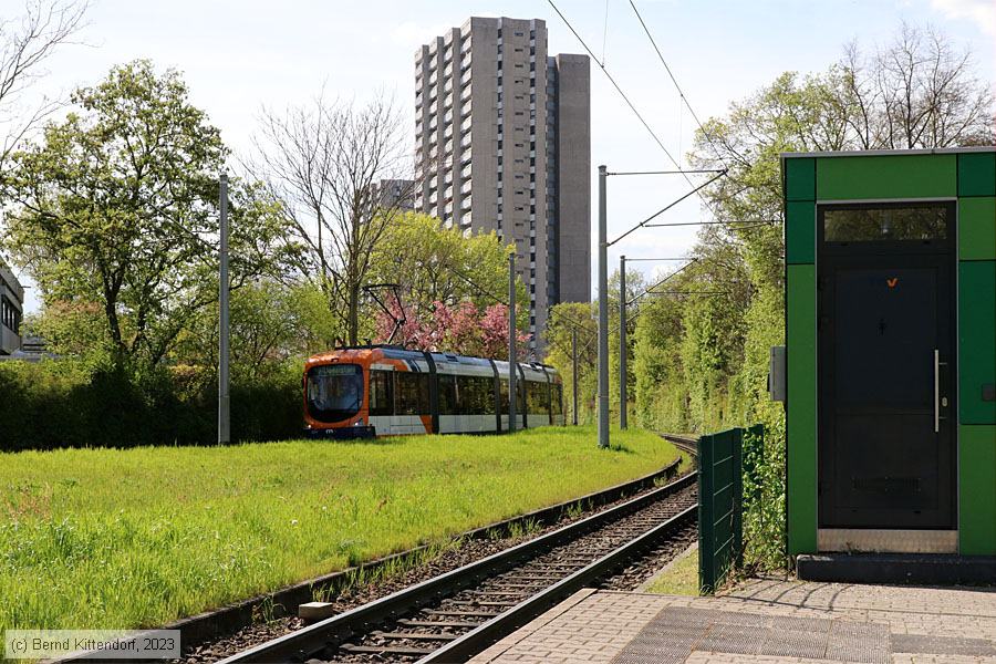 Straßenbahn Mannheim - Anlagen
/ Bild: mannheimanlagen_bk2304140050.jpg