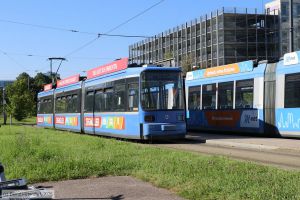 Bild: muenchen2167_bk2508190004.jpg - anklicken zum Vergrößern Bild: muenchen2167_bk2508190004.jpg - anklicken zum Vergrößern