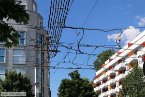 Bild: muenchenanlagen_bk1906190152.jpg - anklicken zum Vergrößern Bild: muenchenanlagen_bk1906190152.jpg - anklicken zum Vergrößern