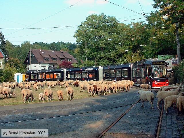 Straßenbahn Nürnberg - 1114
/ Bild: nuernberg1114_11331.jpg