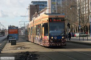 Bild: rostock665_cw1003160104.jpg - anklicken zum Vergrößern Bild: rostock665_cw1003160104.jpg - anklicken zum Vergrößern