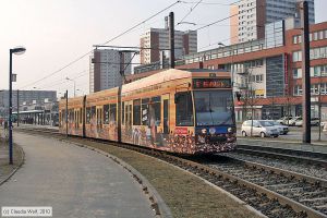 Bild: rostock665_cw1003170093.jpg - anklicken zum Vergrößern Bild: rostock665_cw1003170093.jpg - anklicken zum Vergrößern