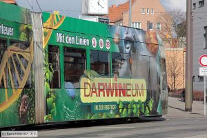 Bild: rostock683_bk1603080189.jpg - anklicken zum Vergrößern Bild: rostock683_bk1603080189.jpg - anklicken zum Vergrößern