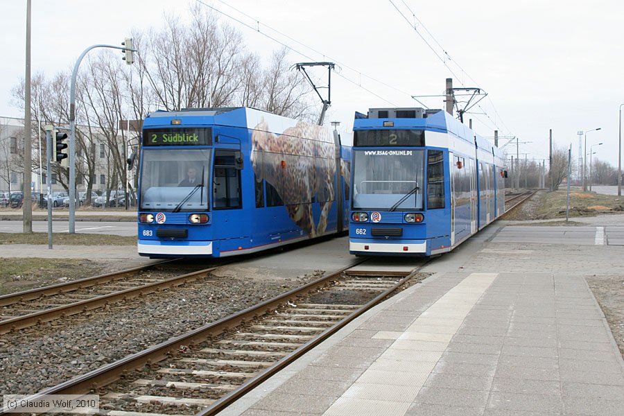 Stra&szlig;enbahn Rostock - 683
/ Bild: rostock683_cw1003170019.jpg