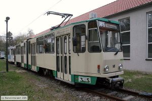 Bild: schoeneiche18_e0017031.jpg - anklicken zum Vergrößern