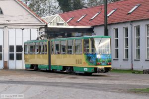 Bild: schoeneiche22_cw010488.jpg - anklicken zum Vergrößern