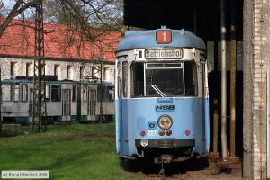 Bild: schoeneiche227_e0017014.jpg - anklicken zum Vergrößern