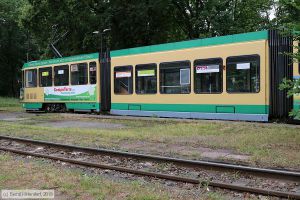 Bild: schoeneiche26_bk1907150149.jpg - anklicken zum Vergrößern
