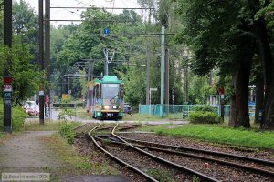 Bild: schoeneiche28_bk2507180095.jpg - anklicken zum Vergrößern