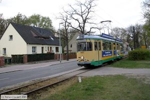 Bild: schoeneiche44_e0017033.jpg