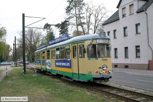 Bild: schoeneiche44_e0017035.jpg