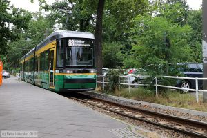 Bild: schoeneiche52_bk1907150069.jpg - anklicken zum Vergrößern Bild: schoeneiche52_bk1907150069.jpg - anklicken zum Vergrößern