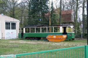 Bild: schoeneiche65_e0016993.jpg