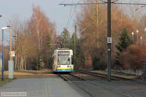 Bild: schwerin826_bk1603090195.jpg - anklicken zum Vergrößern Bild: schwerin826_bk1603090195.jpg - anklicken zum Vergrößern