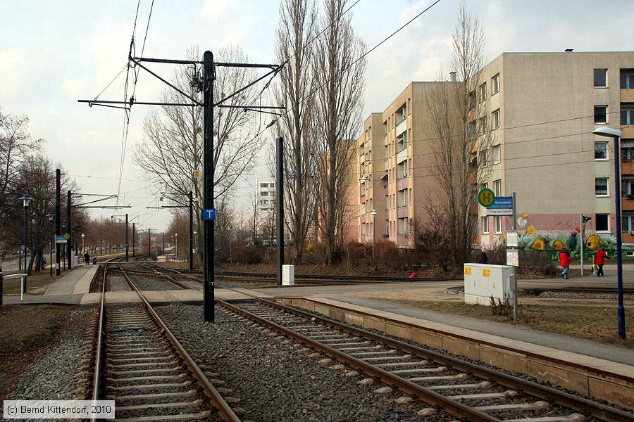Straßenbahn Schwerin - Anlagen
/ Bild: schwerinanlagen_bk1003190312.jpg Straßenbahn Schwerin - Anlagen
/ Bild: schwerinanlagen_bk1003190312.jpg