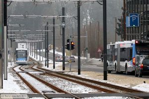 Bild: ulm51_bk1901220109.jpg - anklicken zum Vergrößern